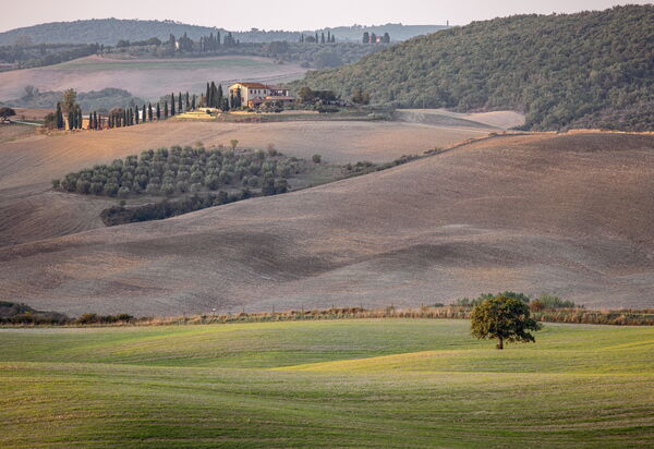 La Casina Honeymoon Cottage, Badia Agnano: all'aperto, Attività, Autunno, Estate, Primavera