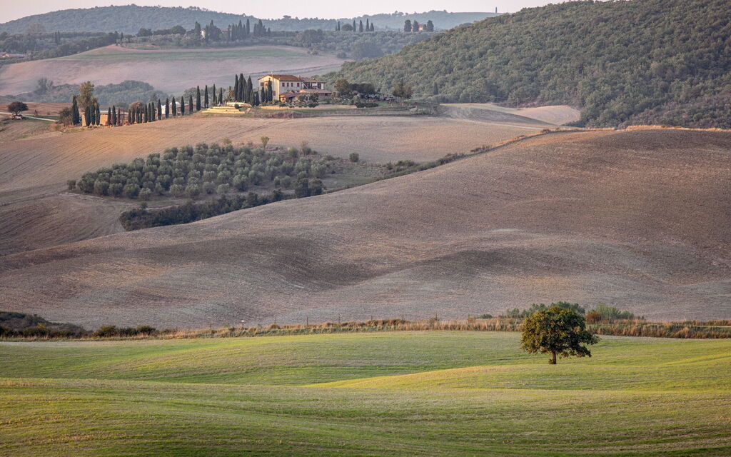 La Casina Honeymoon Cottage, Badia Agnano: all'aperto, Attività, Autunno, Estate, Primavera