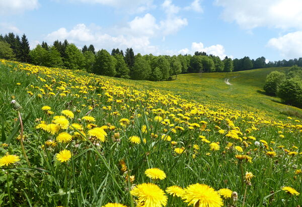 Baita Costa Di Gial: Activities, Autumn, Outdoor, Spring, Summer