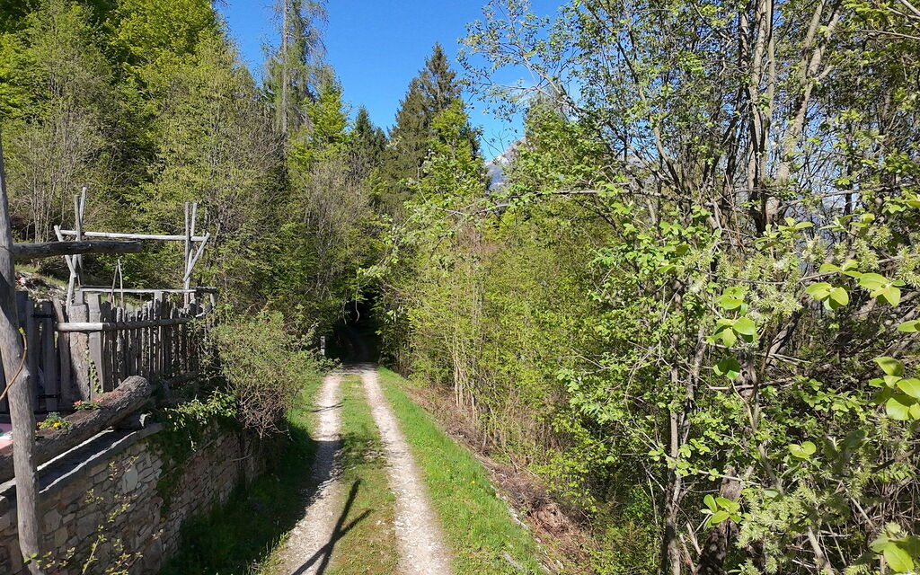 Baita Costa Di Gial: Autunno, Estate, Esterni, Primavera