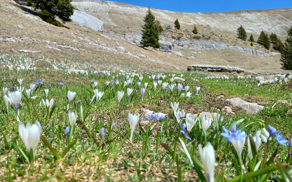 Baita Costa Di Gial: all'aperto, Attività, Autunno, Estate, Primavera