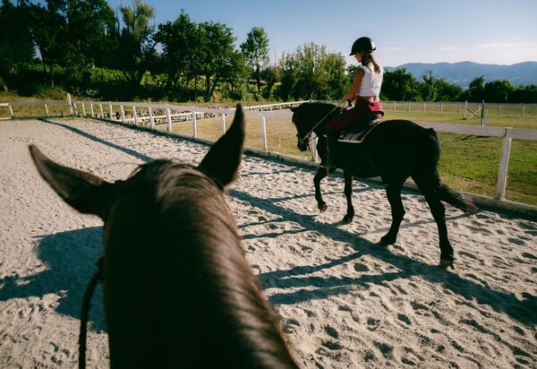 La Piazza Di San Donato: la-piazza-di-san-donato-reggello-multiproprieta-cavalli