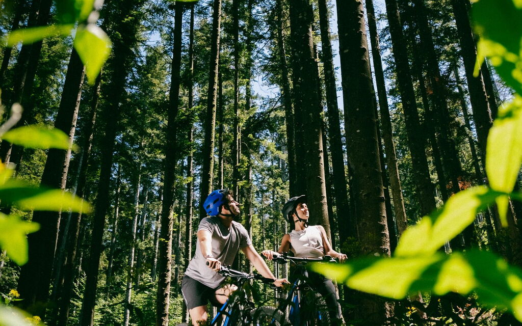 La Piazza Di San Donato: la-piazza-di-san-donato-reggello-multiproperty-bikes