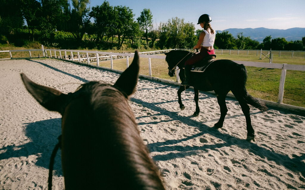 La Piazza Di San Donato: la-piazza-di-san-donato-reggello-multiproperty-horses