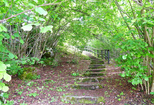 Chalet Giove: Activities, Autumn, Outdoor, Spring, Summer