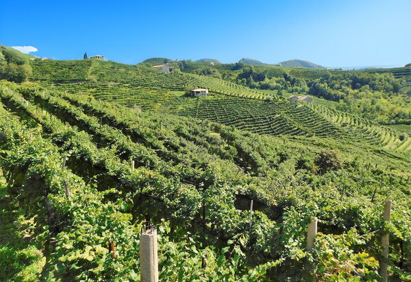 Chalet Giove: Activities, Autumn, Outdoor, Spring, Summer