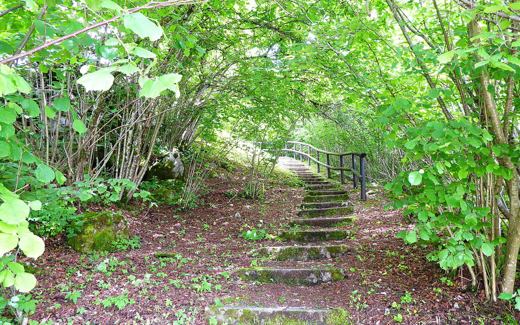 Chalet Giove: all'aperto, Attività, Autunno, Estate, Primavera