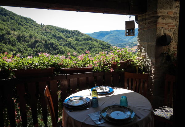 Agriturismo Arcera Apartments: Autunno, Estate, Giardino, Primavera