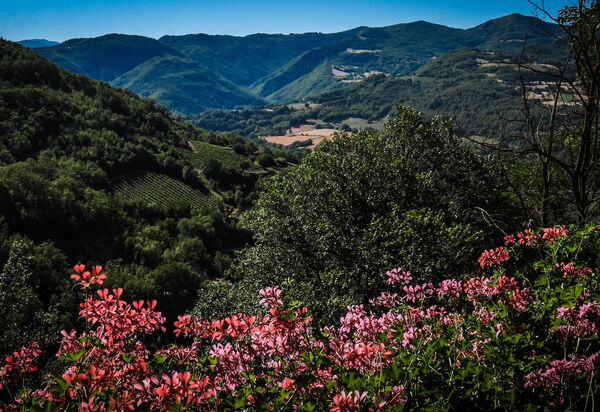 Agriturismo Arcera: Autumn, Building Exterior, Spring, Summer