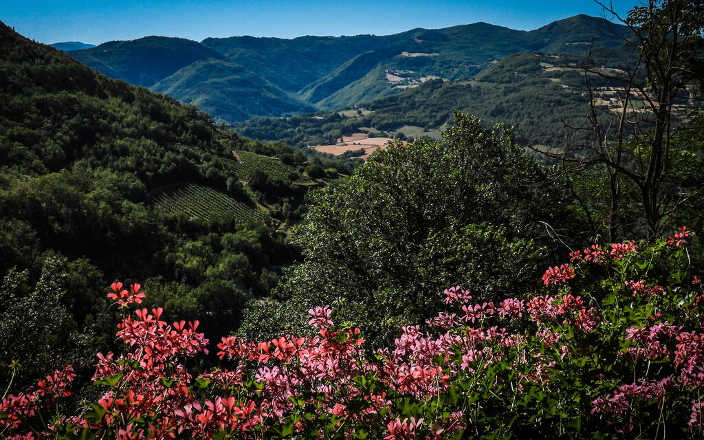 Agriturismo Arcera: Autunno, Estate, Esterni, Primavera