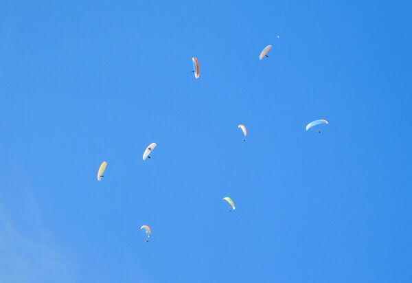 Villa Rosa Apartment: Activities, Autumn, Outdoor, Spring, Summer