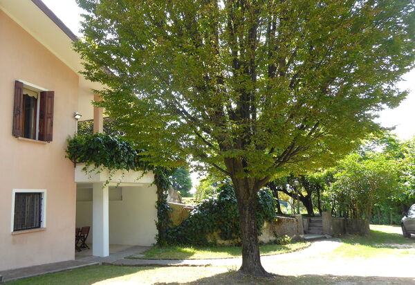 Villa Rosa Apartment: Autumn, Main Entrance, Spring, Summer