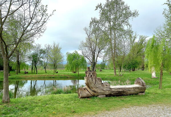 Villa Rosa Apartment: Activities, Autumn, Outdoor, Spring, Summer