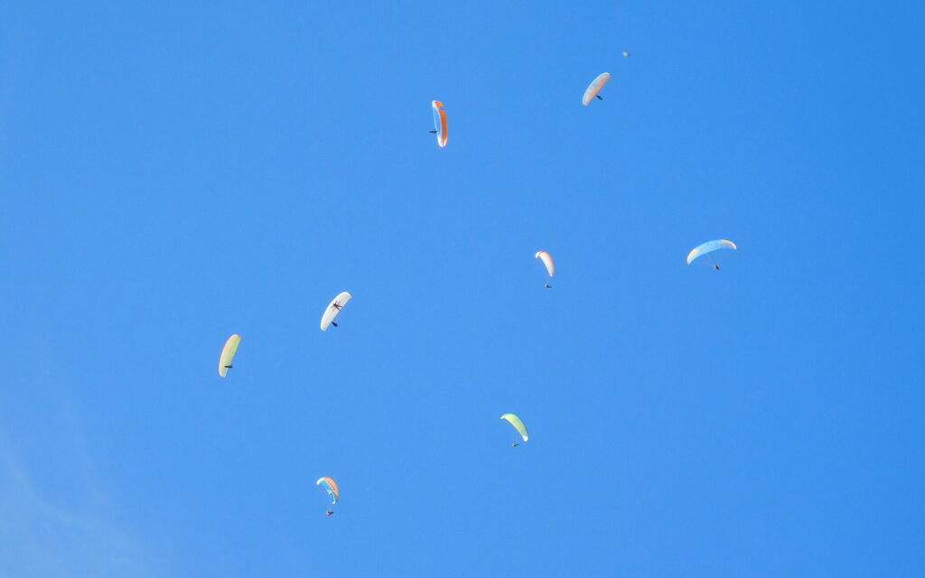 Villa Rosa Apartment: all'aperto, Attività, Autunno, Estate, Primavera