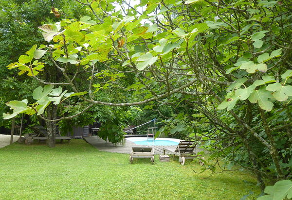 Chalet Fagarè, Pool, Sauna, Prosecco Hills: Autumn, Garden, Spring, Summer