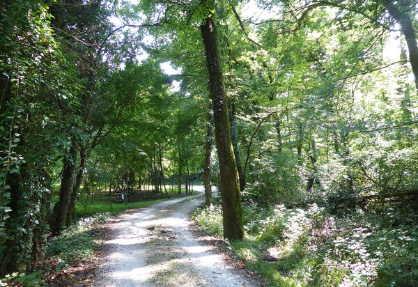 Chalet Fagarè, Pool, Sauna, Prosecco Hills: Autumn, Spring, Summer