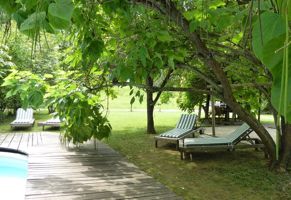 Chalet Fagarè, Pool, Sauna, Prosecco Hills: Autumn, Garden, Pool, Spring, Summer