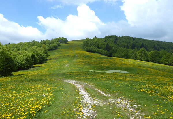 Chalet Fagarè, Pool, Sauna, Prosecco Hills: Activities, Autumn, Outdoor, Spring, Summer