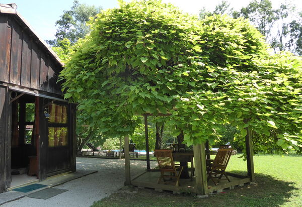 Chalet Fagarè, Pool, Sauna, Prosecco Hills: Autumn, Garden, Spring, Summer