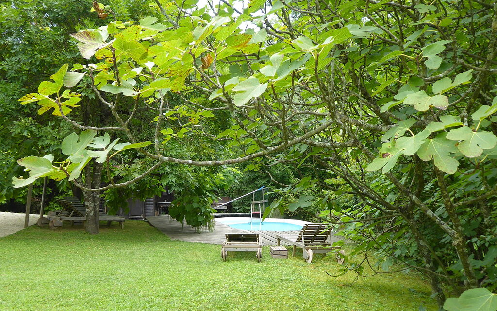 Chalet Fagarè, Pool, Sauna, Prosecco Hills: Autumn, Garden, Spring, Summer