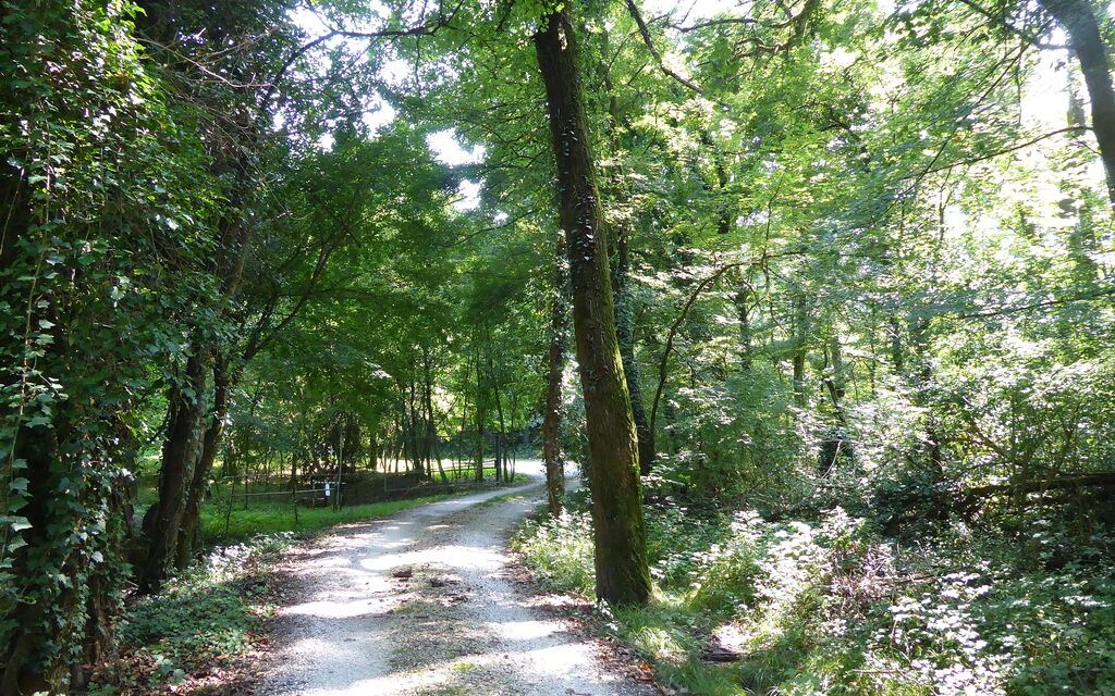 Chalet Fagarè, Pool, Sauna, Prosecco Hills: Autumn, Spring, Summer