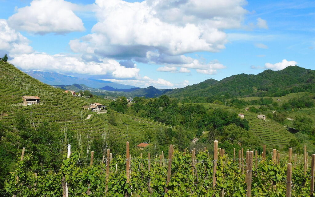 Chalet Fagarè, Pool, Sauna, Prosecco Hills: Activities, Autumn, Outdoor, Spring, Summer