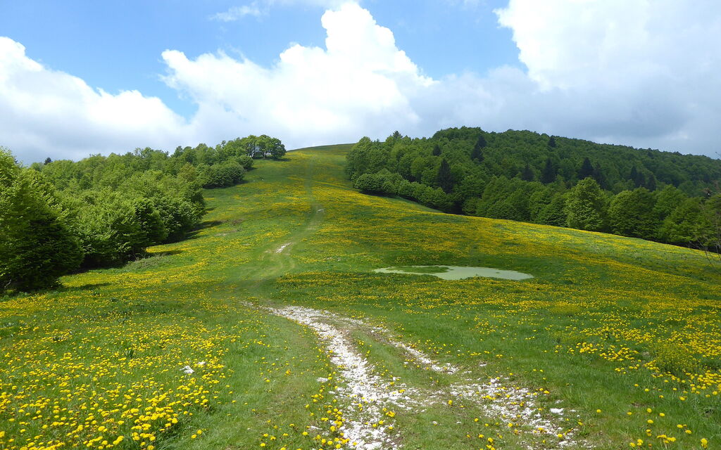 Chalet Fagarè, Pool, Sauna, Prosecco Hills: Activities, Autumn, Outdoor, Spring, Summer