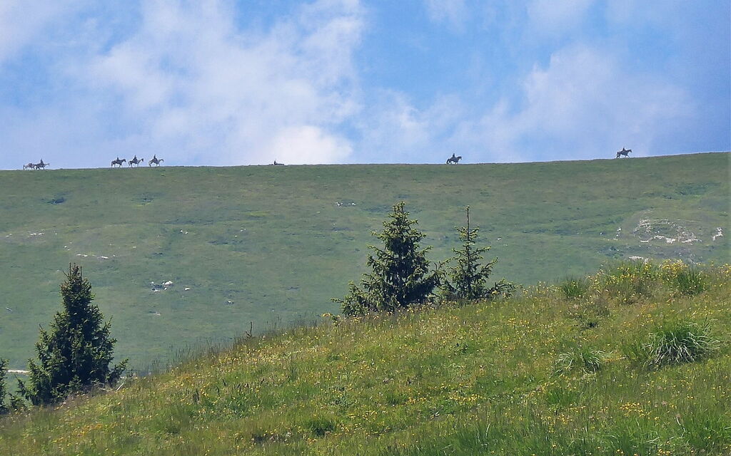 Chalet Fagarè, Pool, Sauna, Prosecco Hills: Activities, Autumn, Outdoor, Spring, Summer