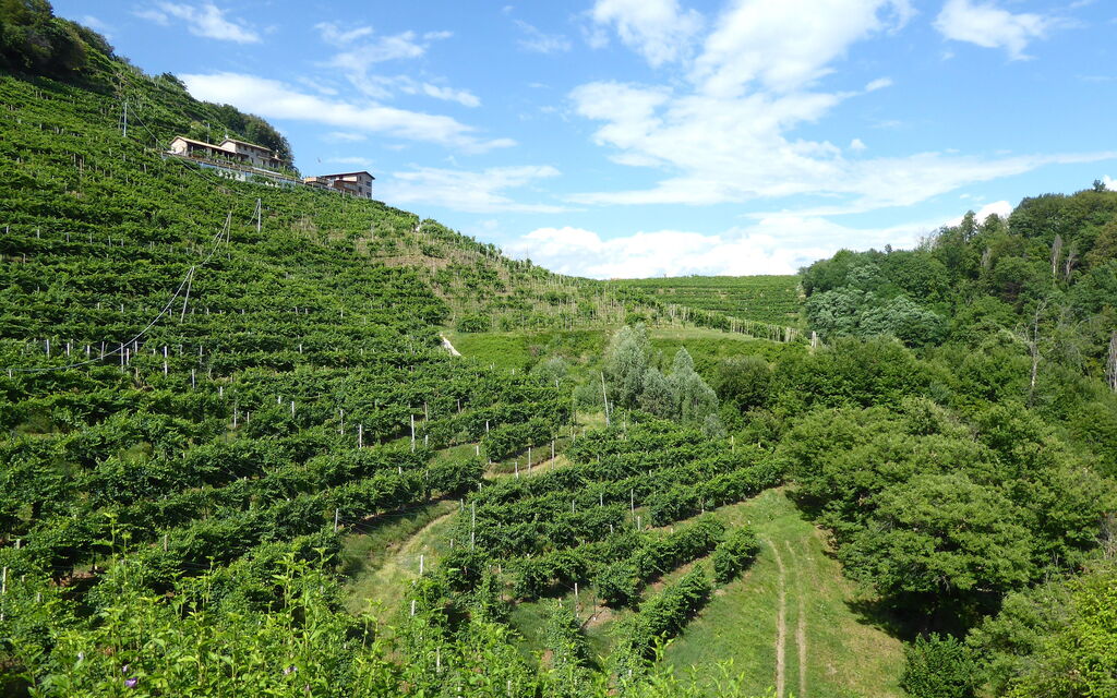 Chalet Fagarè, Pool, Sauna, Prosecco Hills: Activities, Autumn, Outdoor, Spring, Summer