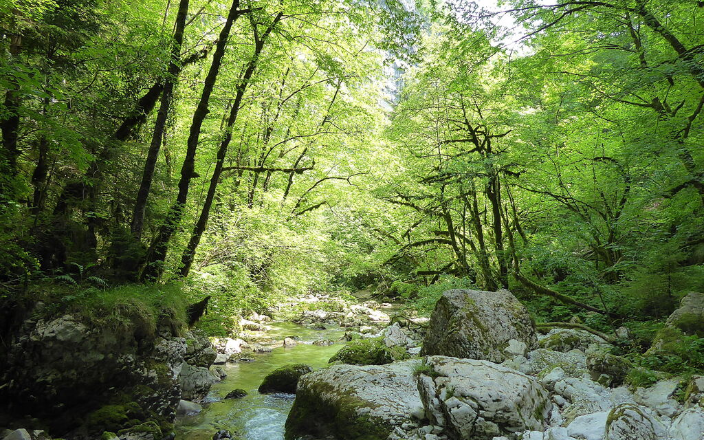 Chalet Fagarè, Pool, Sauna, Prosecco Hills: Activities, Autumn, Outdoor, Spring, Summer