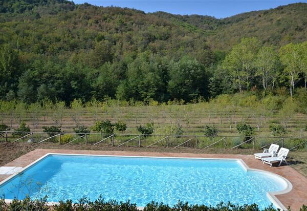 Fattoria Gaiole in Chianti: Autunno, Estate, Piscina, Primavera