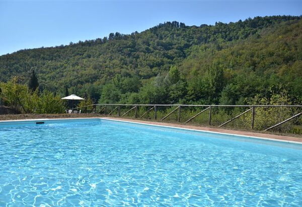 Fattoria Gaiole in Chianti: Autunno, Estate, Piscina, Primavera