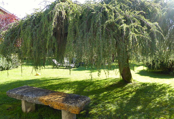 House Martina: Autumn, Garden, Spring, Summer