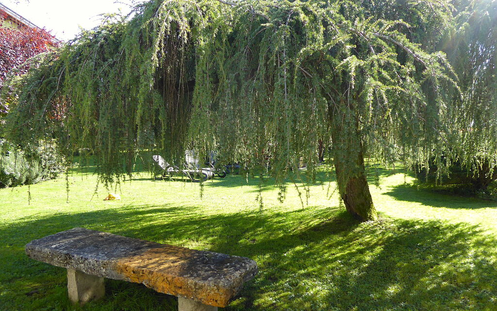 House Martina: Autunno, Estate, Giardino, Primavera