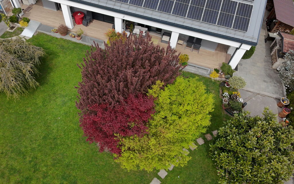 House Martina: Autunno, Estate, Esterni, Primavera