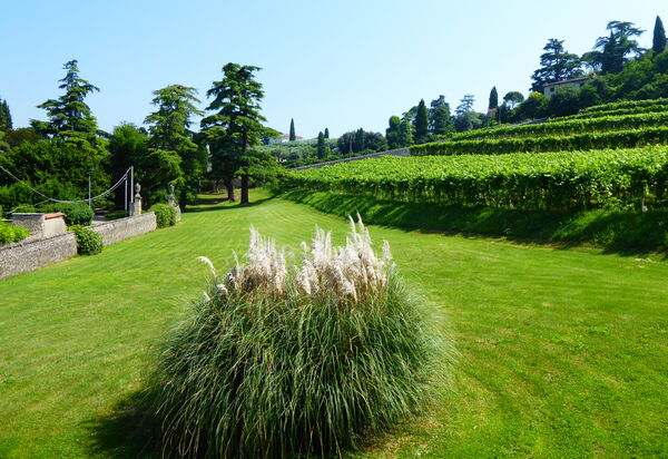 Calicantus, Verona, Pool, Wifi: Autumn, Garden, Spring, Summer
