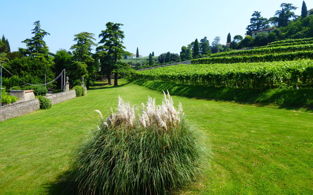 Calicantus, Verona, Pool, Wifi: Autunno, Estate, Giardino, Primavera