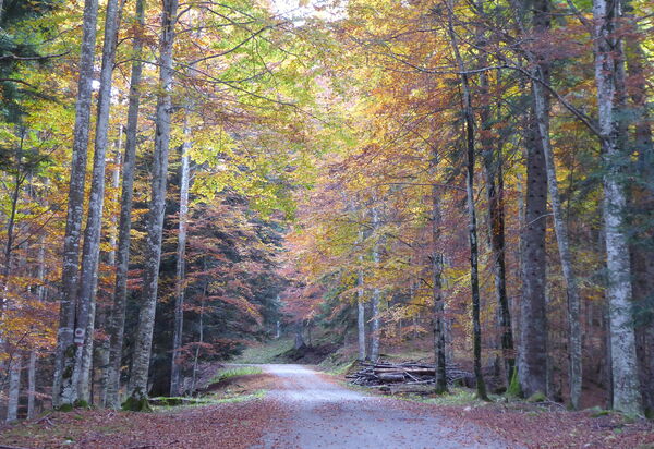 Casa Ines, Feltre: Activities, Autumn, Outdoor, Spring, Summer