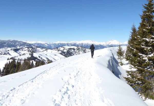 Casa Ines, Feltre: Activities, Autumn, Outdoor, Spring, Summer