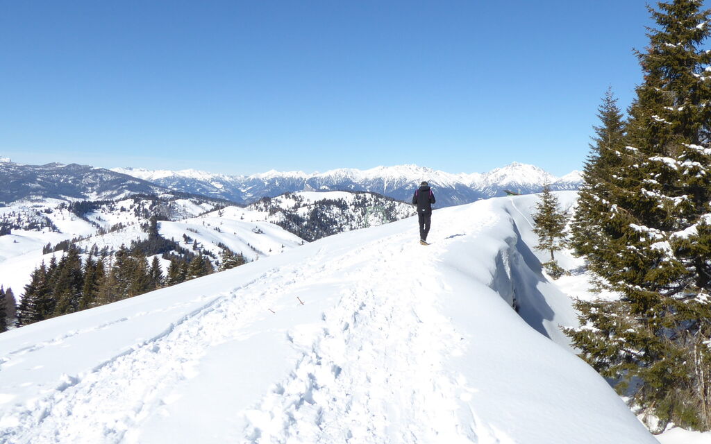 Casa Ines, Feltre: Activities, Autumn, Outdoor, Spring, Summer