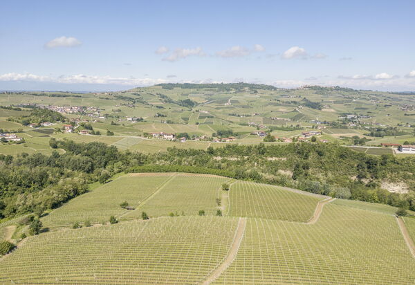 Arpusè - Ca' Renato Grane' Apartment with Pool: Autunno, Estate, Primavera, Vista Panoramica