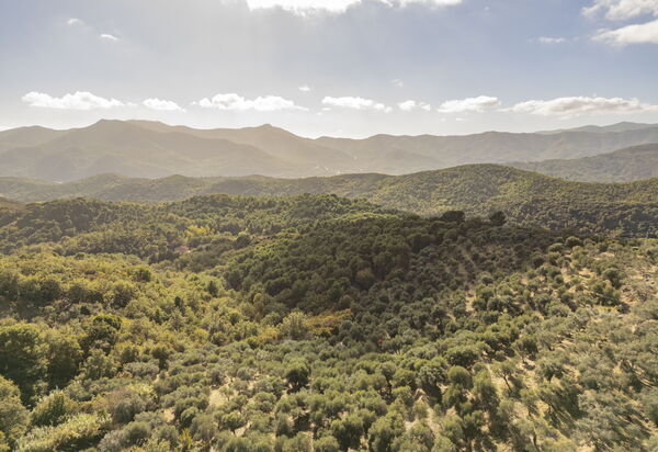 Casa di Bruna Seaview, Albenga: Autumn, Scenic View, Spring, Summer