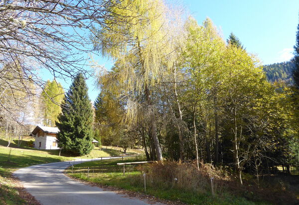 Chalet Genzianella: Autumn, Spring, Summer