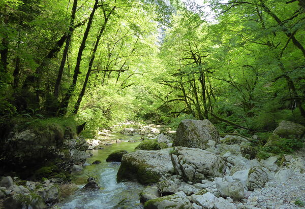 Chalet Genzianella: Activities, Autumn, Outdoor, Spring, Summer