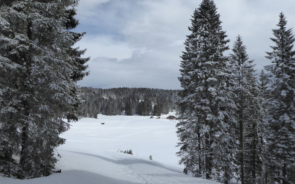 Chalet Genzianella: Activities, Autumn, Outdoor, Spring, Summer