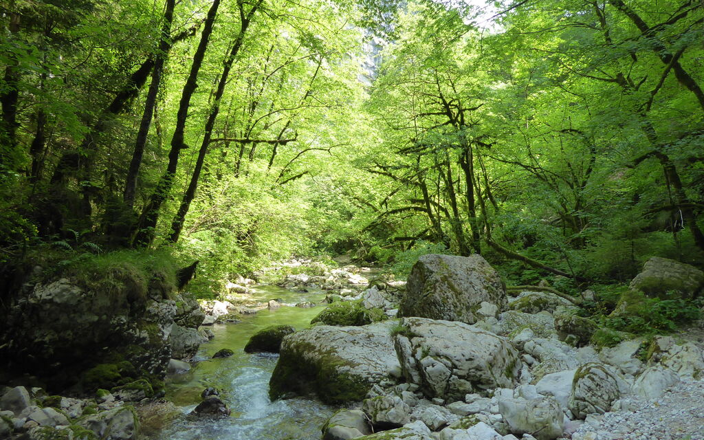 Chalet Genzianella: Activities, Autumn, Outdoor, Spring, Summer