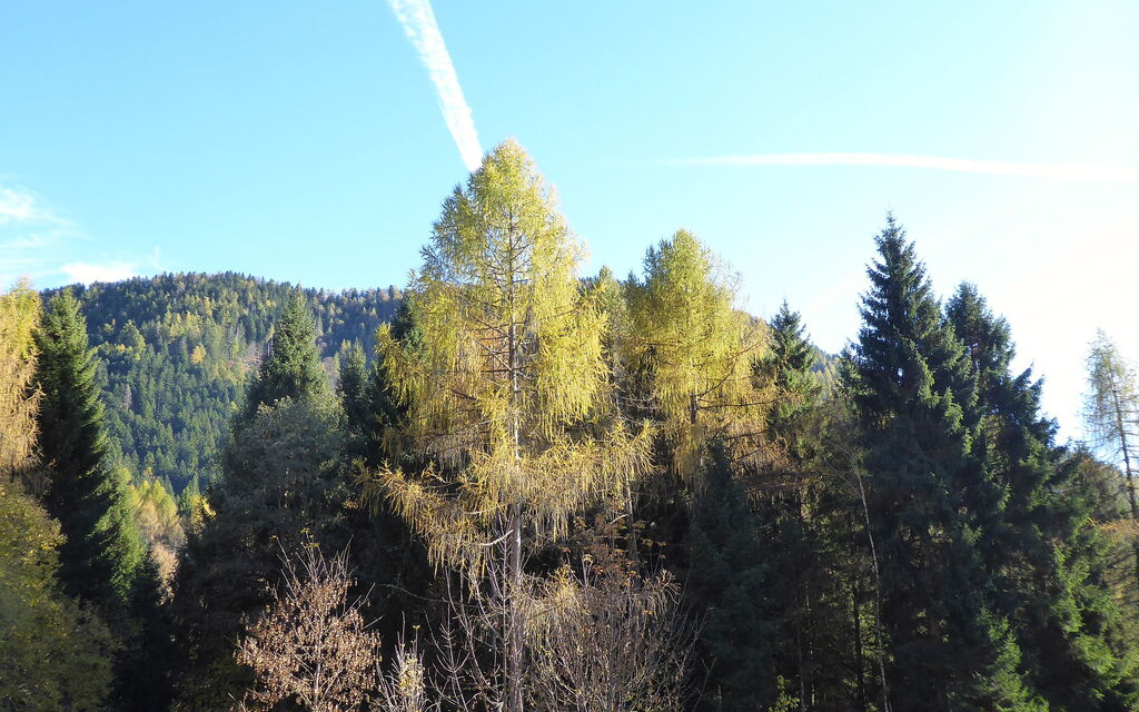 Chalet Genzianella: Autumn, Spring, Summer