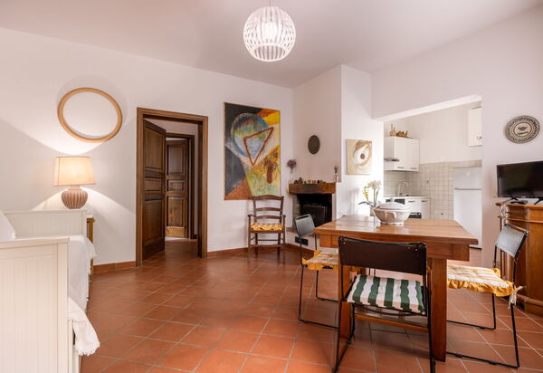 Il Ferrone Apartment with Garden - Greve in Chianti: Autumn, Living Room, Spring, Summer
