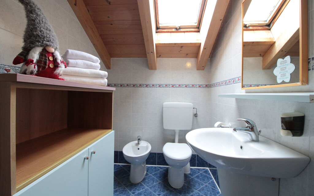 Baita Pranolz: Autumn, Bathroom, Spring, Summer