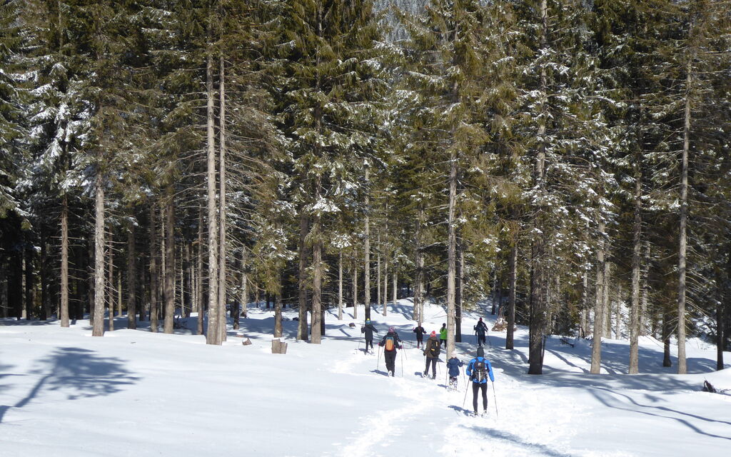 Baita Pranolz: Activities, Autumn, Outdoor, Spring, Summer